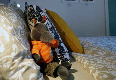 soft toy wolf sitting on a comfy double bed